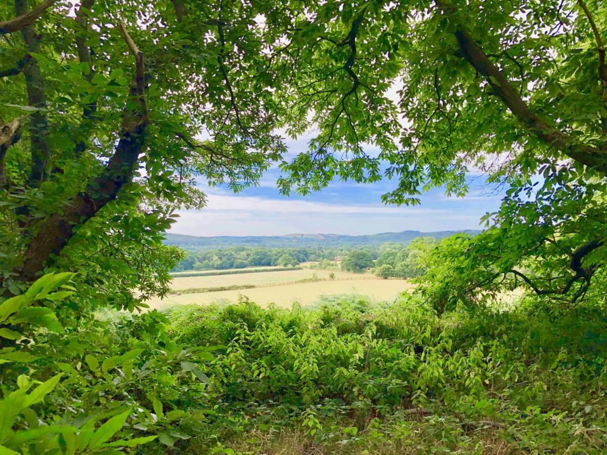 Kwetu Cabin Bordon Екстериор снимка